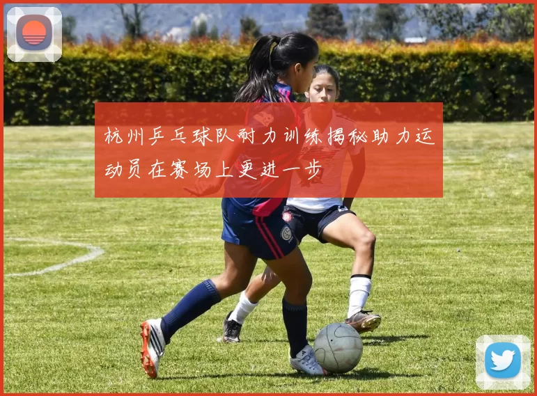 杭州乒乓球队耐力训练揭秘助力运动员在赛场上更进一步