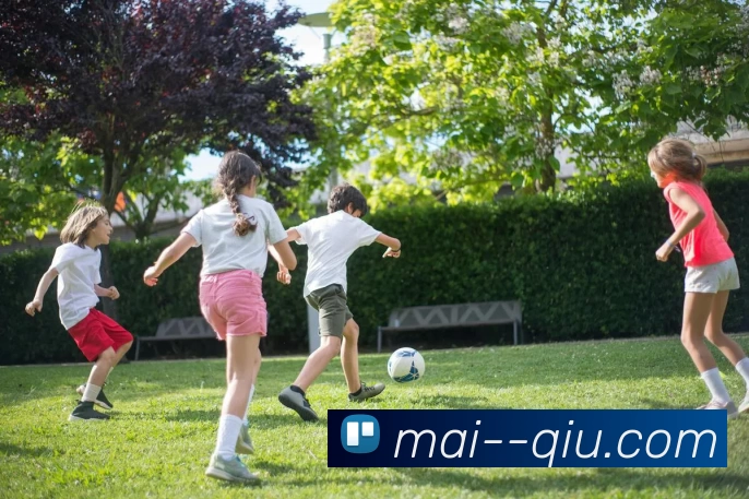 买球官网平台生态图